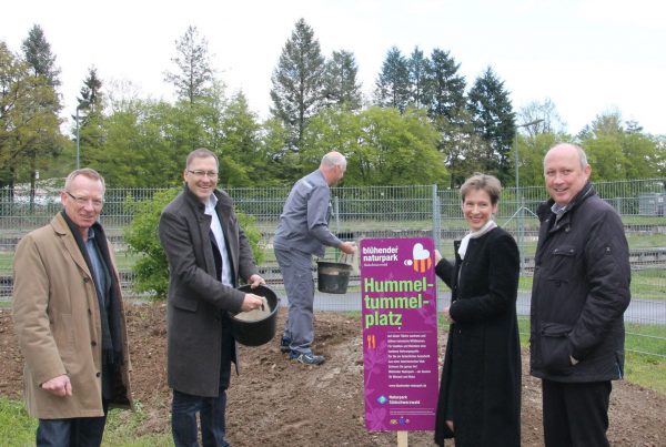 Blühender Naturpark Südschwarzwald