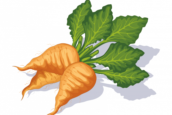 Regionaler Rübenzucker